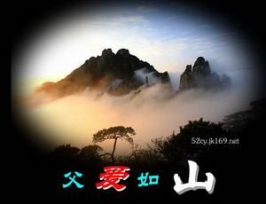 正向爱到无力散文