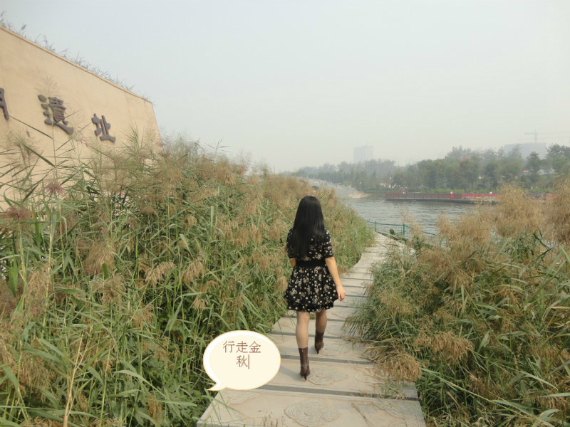 嗨!秋天,你好! 天朗气清,天高云淡,在这美丽的假期,出游,去省城西安走一走,行走在秋天的风景线。 金秋画卷徐徐展开,汉城湖的风姿映入眼帘。青山绿水,亭台塔楼,垂柳拂堤,绿树掩映。桂花的香味袅袅绕绕,芳香馥郁,沁人心脾。我们沿着垂柳依依的石板小径悠然绕湖一周,一路上耳濡目染的是汉朝浓郁的文化气息,古风古韵格调雅致。处处可见刻于石壁上的古文诗句,诗意盎然,无不昭示着汉文化的繁荣昌盛。 清凉山公园是去年十月一日刚开放的新园林,绿草茵茵,树木林立,园内一尘不染,干净宜人。偶