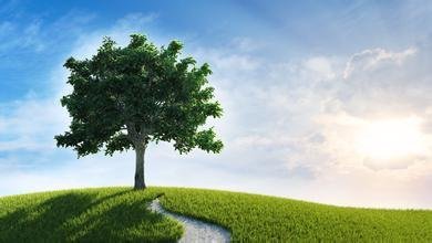 一棵小树苗如果要长成一棵参天大树,这个过程必然是一种蜕变与积累
