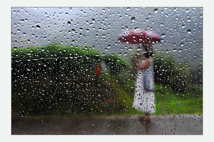 正向雨中遐思