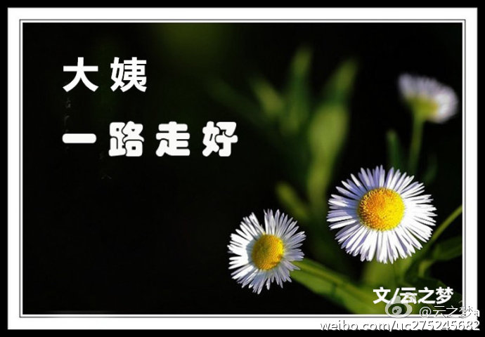 【江南】大姨,一路走好 (散文)