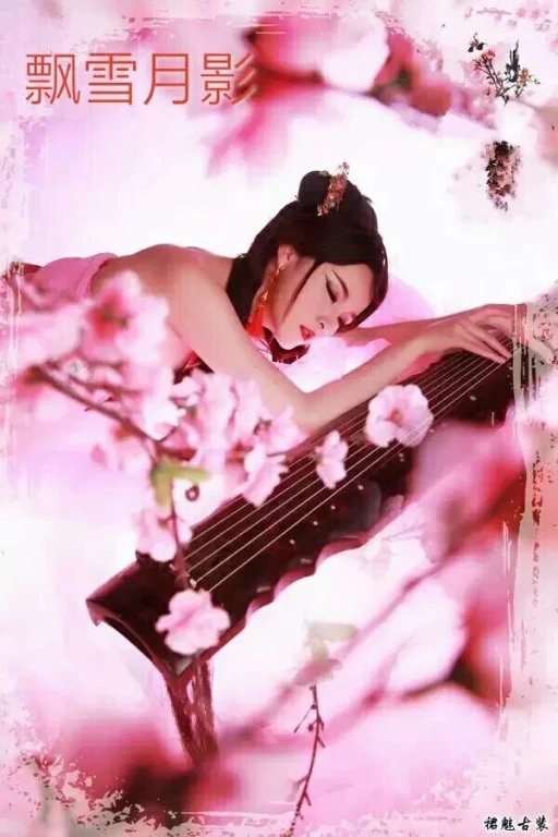 【江南】雪和梅的传奇（散文）