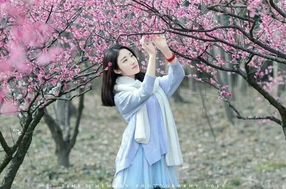【月光】善待春天（散文）