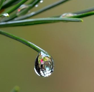 【如云】凝望一滴水(外二首)