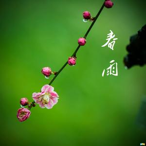 【荷塘“相约春天”征文】春雨（散文）