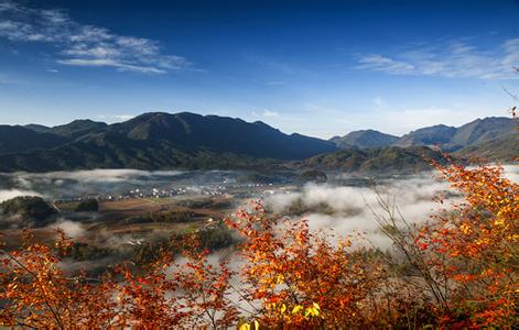 【柳岸·希望】空山（散文）