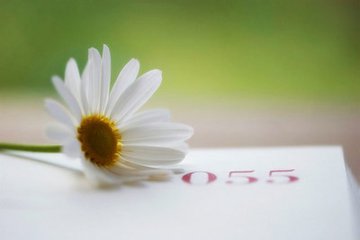 【丁香收获】花开半夏（外一篇）