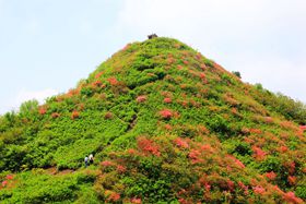 【荷塘】与玉皇尖的四次奇遇（散文）