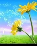 【萌芽春天】春天的童话（ 组诗）