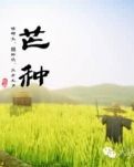芒种