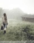 小暑，行走在江南烟雨中