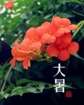 大暑