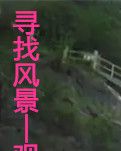 寻找风景
