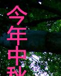 【小品剧本】 今年中秋不回家