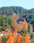 【荷塘“有奖金”征文】山水画廊团练冲（散文）