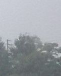 【看点】雨中情思（外一篇）（散文）