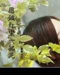 【丹枫】愿做红尘一把泥（散文）