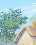 【时光】逃离博客（散文）