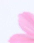 【时光】我与你三生三世，十万里格桑花儿开（散文）