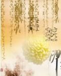 【丹枫】尘世印象（微诗组）