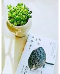 【山水】指端流年（组诗）