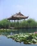【丹枫】单车驶过陈楚故城（散文）