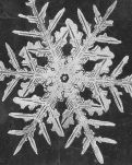 【丹枫】雪花飘飘（小说）
