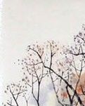 【荷塘“PK大奖赛”】野有蔓草（散文）