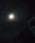 【丹枫】长江村的月亮（诗歌）
