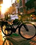 【柳岸•爱】自行车的故事（散文）