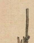 【西风芳华】焦武（征文散文）