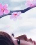 【看点】逝水凝心托远梦（散文）