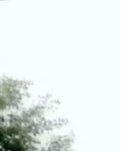 【丹枫】爱情的模样（诗歌）