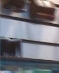 【荷塘】写给我敬爱的父亲（散文）