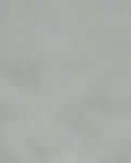 【星月】雨燕的历险（小说）