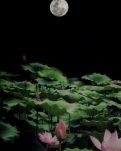 【柳岸】还站在这夏风口等你（组诗）