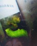 【清风】书虫的解说（小说）