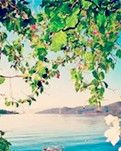 【浪花】聊赠一岸春（散文）