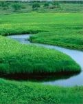 【宁静•正】青青河滩草，温温炕头情（散文）