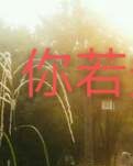 【心灵】你若安好便是晴天（诗歌）
