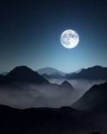 【丁香】又见清明(散文)