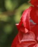 【神舟·神采飞扬】绿皮火车的终点站（情感小说）