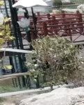 【摆渡】哪个生命不曾卑微？（随笔）