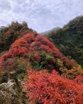 【时光】秋日重游十二天门（散文）