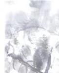 【摆渡·春】忆起少年读书郎（散文）