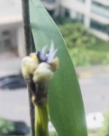 【敏思】我们聚会吧（诗歌·外一首）