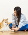 【心灵】选择爱狗狗的女人（散文）