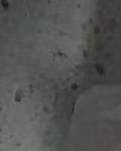 【丹枫】爱心肉（散文）