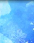 【暗香】冬日香魂（诗歌）