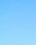 【晓荷.奖】人生别离     不过落红满地（散文）
